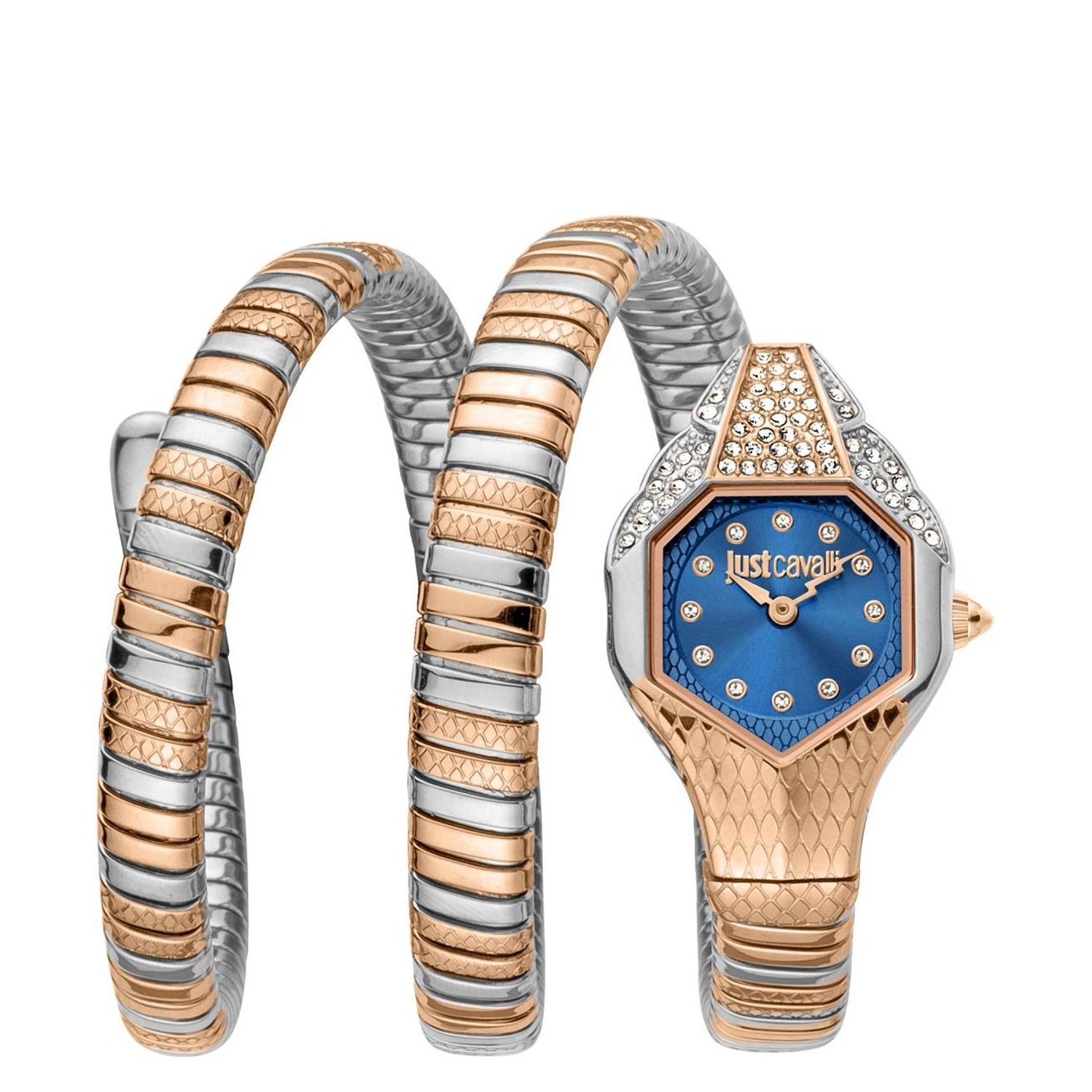 Just Cavalli Glam 5 Evo Silver Dial Two Tone Steel Strap Watch for Women - JC1L228M0085 main image 1