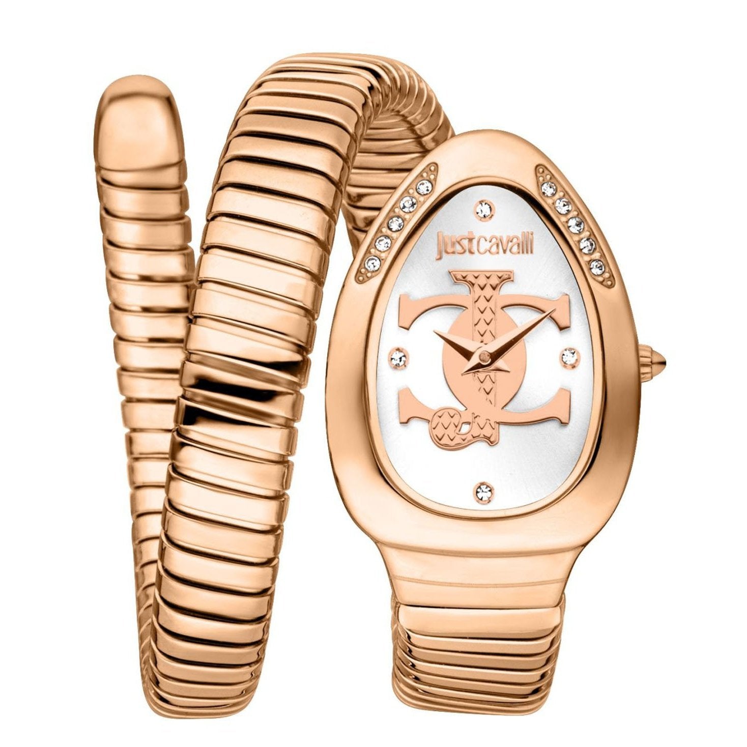 Just Cavalli Serpente Metallica Blue Dial Silver Steel Strap Watch for Women - JC1L224M0025