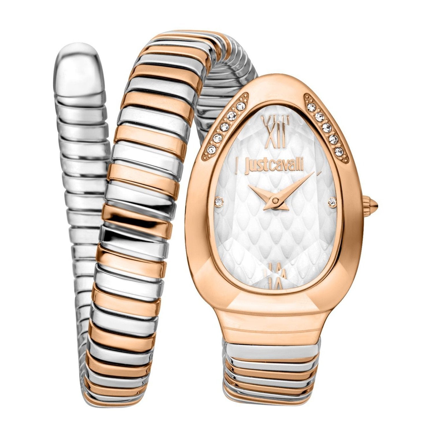 Just Cavalli Taglio Red Dial Two Tone Steel Strap Watch for Women - JC1L225M0105 main image 0
