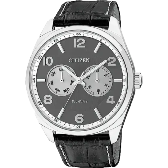 Citizen AO9020 09H Men Watch The Watch Factory