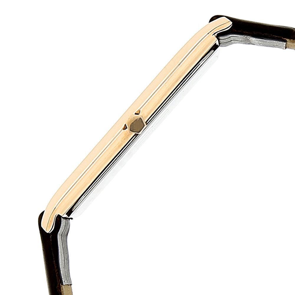 Titan Quartz Analog Silver Dial Leather Strap Watch for Men-NH1043WL01A