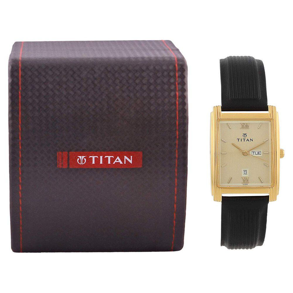 Titan Quartz Analog Champagne Dial Watch for Men-NE1072YL01