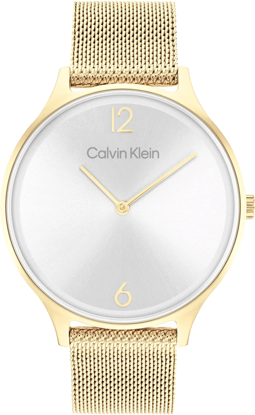 25200003 Calvin Klein Watch