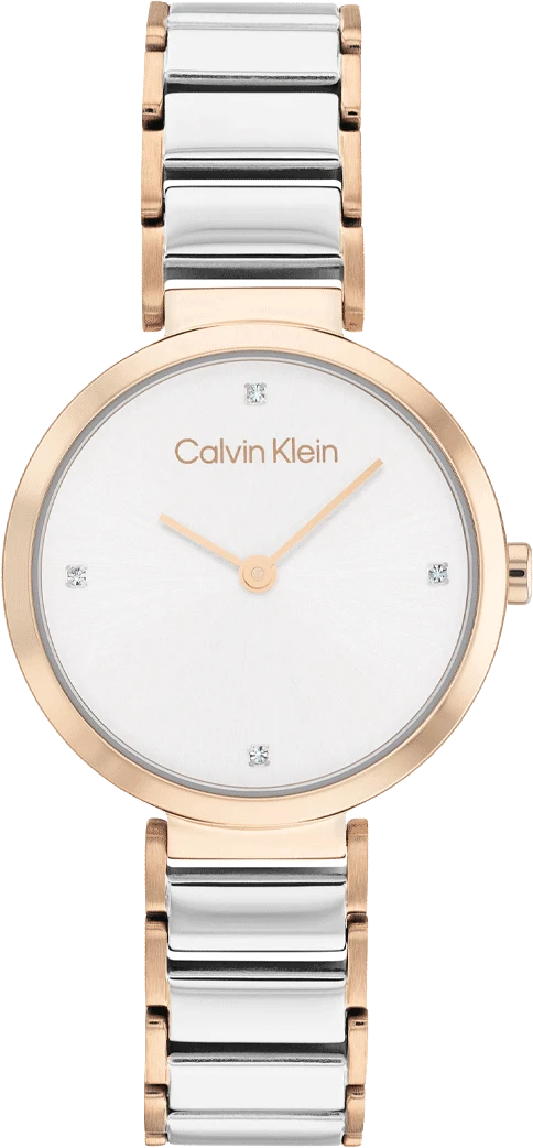 25200139 Calvin Klein Watch