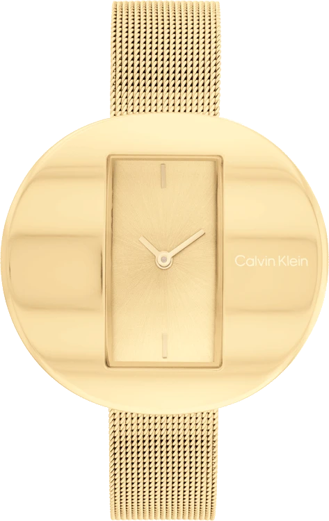 25200146 Calvin Klein Watch