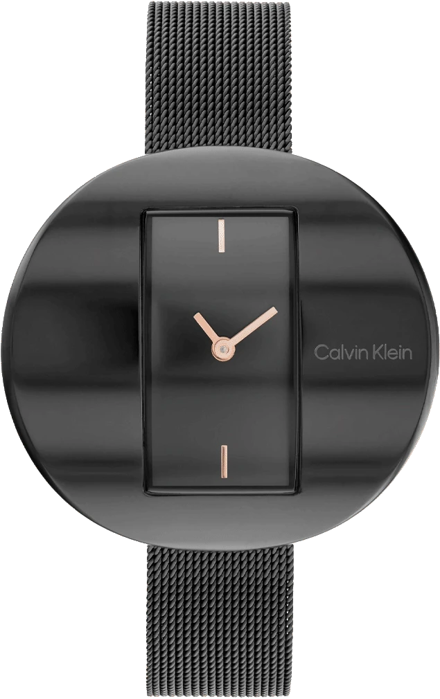 25200018 Calvin Klein Watch For Women