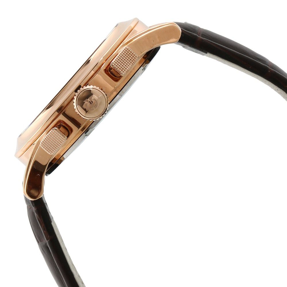 Titan Chrono Classic Brown Dial Chrono Leather Strap watch for Men-1562WL03