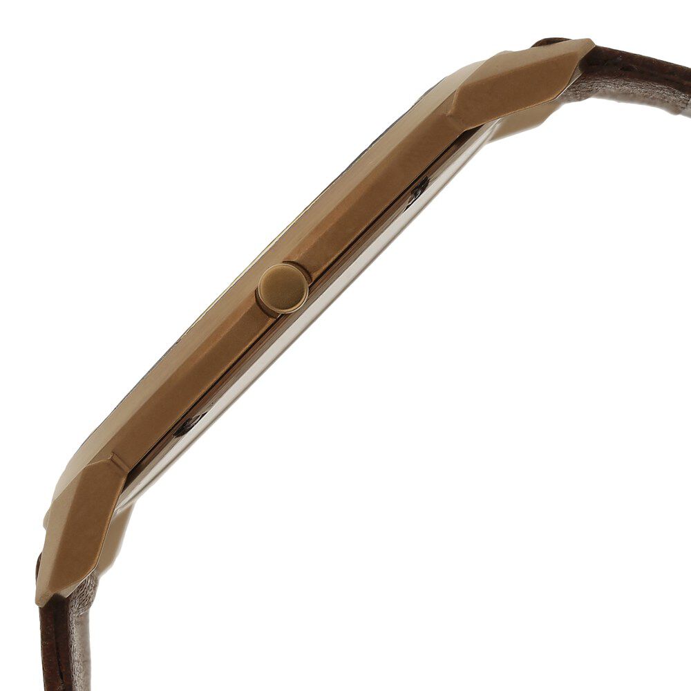 Titan Quartz Analog Brown Dial Watch for Men-1576QL01