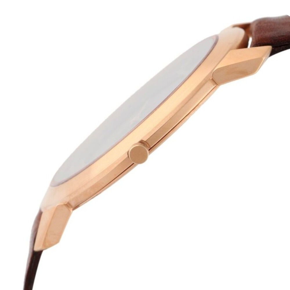 Titan Quartz Analog Brown Dial Watch for Men-1576WL01