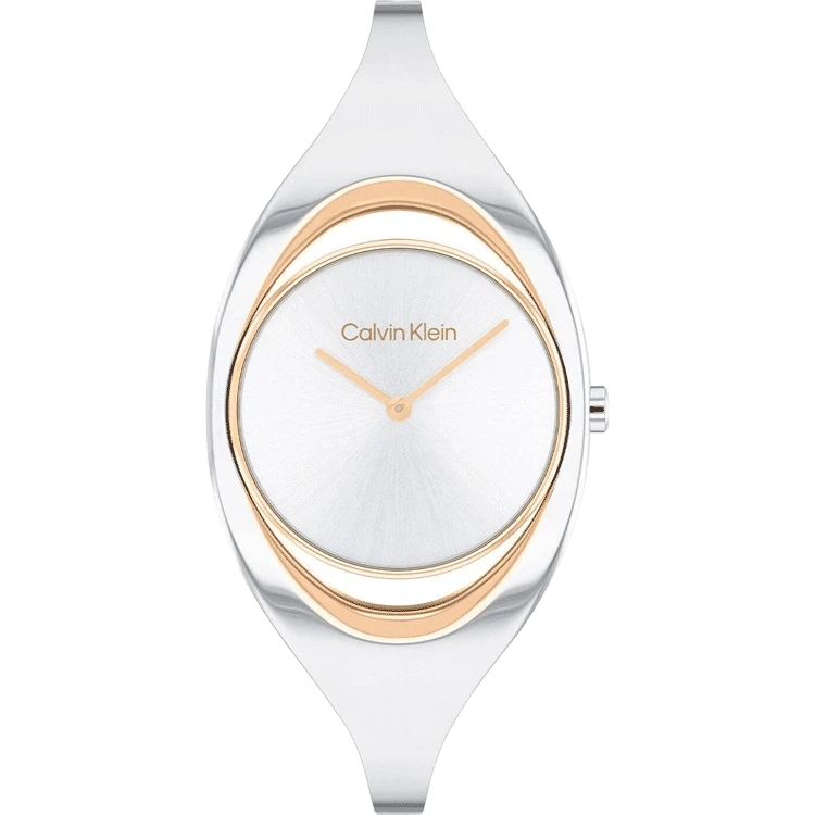 Calvin Klein 25200424 Women's Watch With 2 Year International Warranty ...
