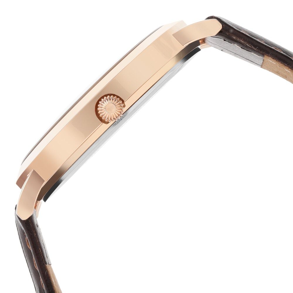 Titan Forever Kolkata Silver Dial Analog Leather Strap watch for Men-1740WL04