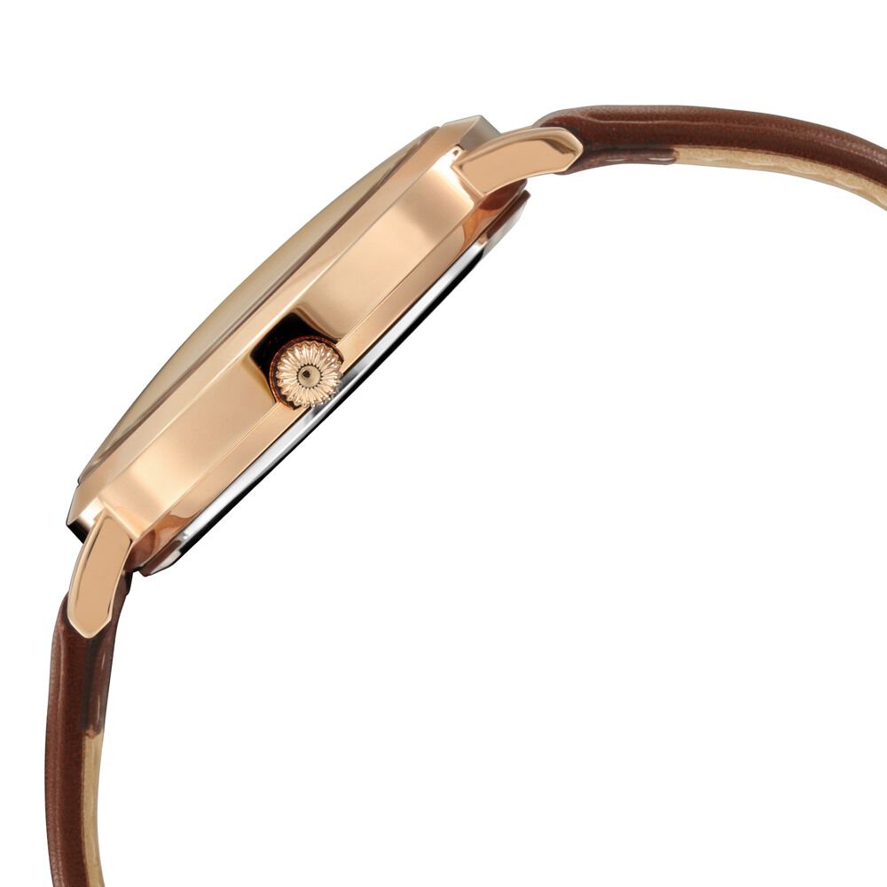 Titan Namma Tamil Nadu Silver Dial Analog Leather Strap Watch for Men-1740WL07