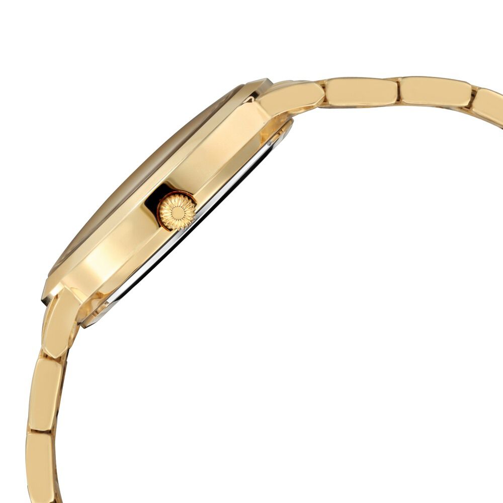 Titan Namma Tamil Nadu Off White Dial Analog Stainless Steel Strap watch for Men-1740YM01