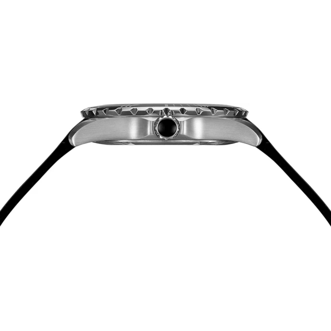 Balmain Ophrys B43473265