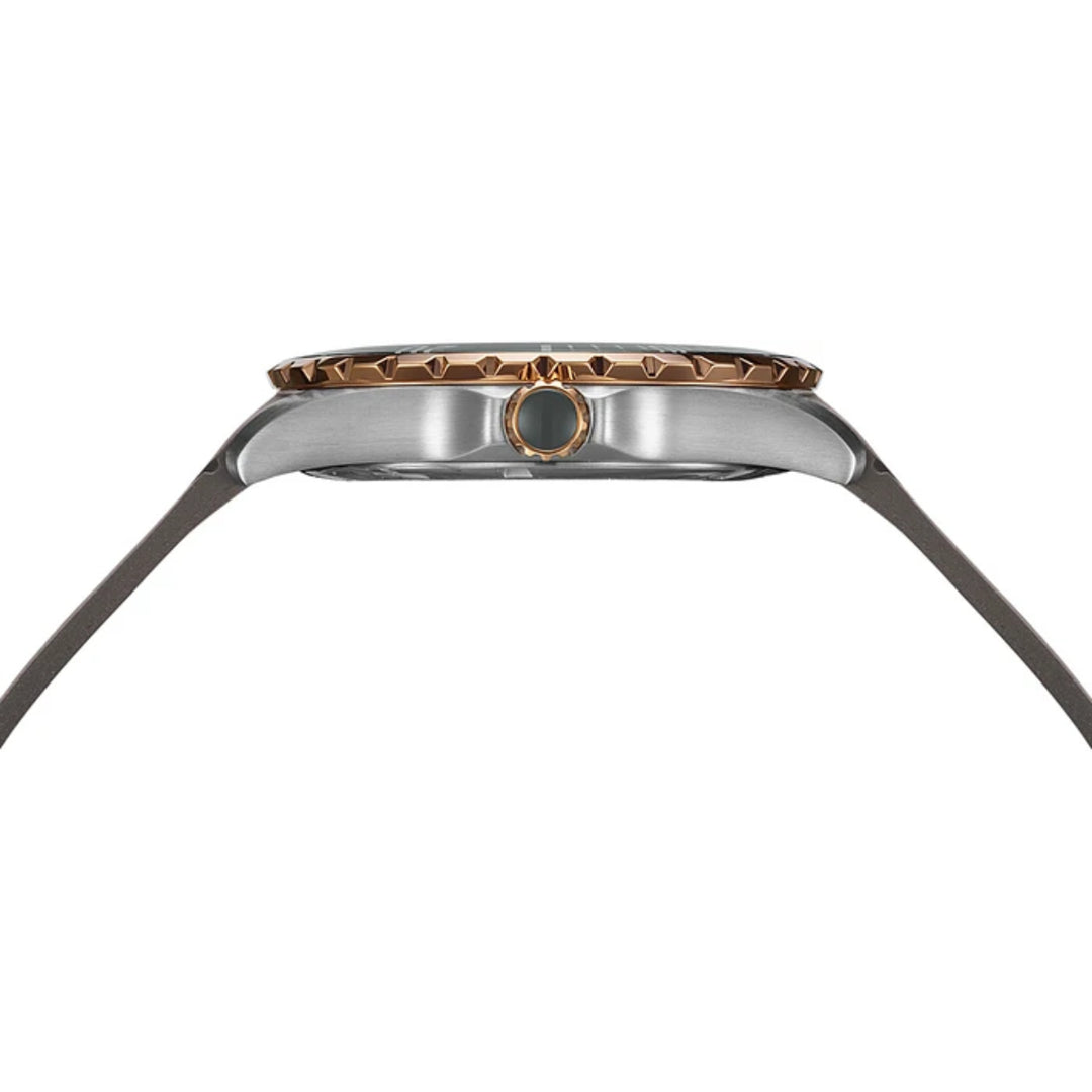 Balmain Ophrys B43495176