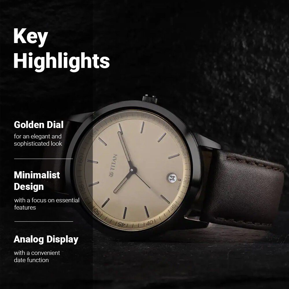 Titan Men's Timeless Style Watch: Refined Gold Dial and Leather Strap