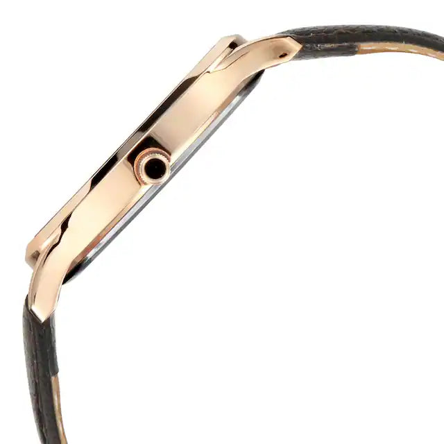 Titan Silver Dial Leather Strap Watch NP1825WL01 (DJ634)