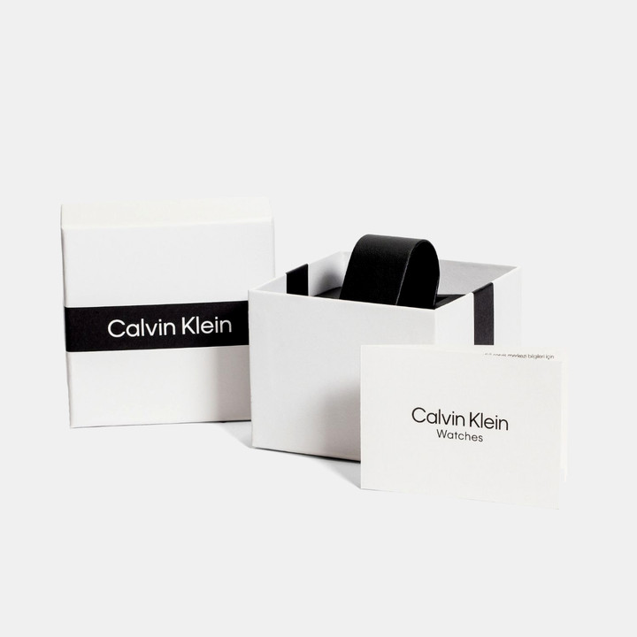 Calvin Klein 25100063 Silver Dial Women&