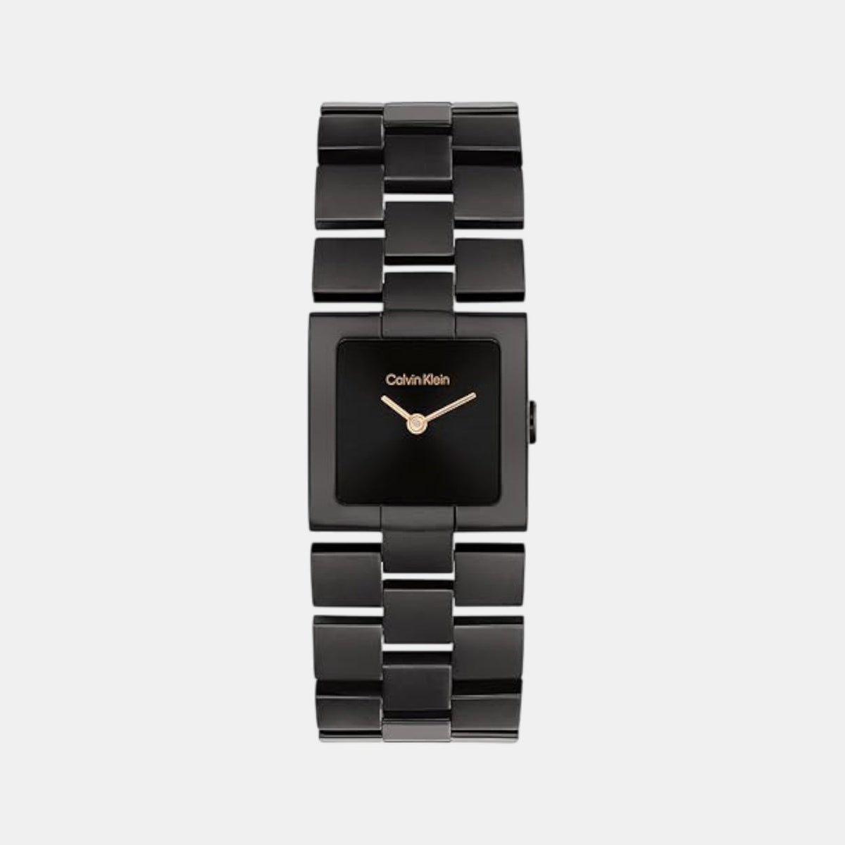 Calvin Klein 25100091 Black Dial Women's Watch