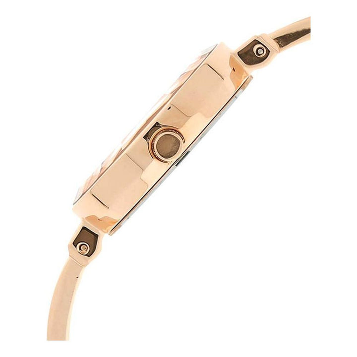 TITAN Women Raga Viva NS2575WM01