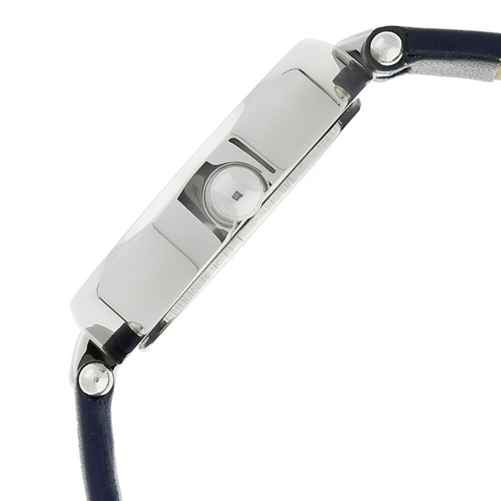 Titan Raga Viva Silver Dial Analog Leather Strap watch for Women NS2579SL01