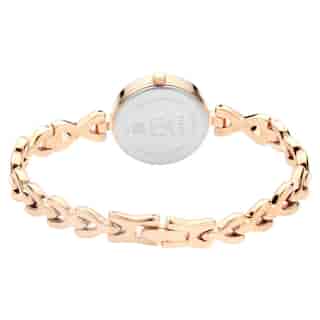 Titan Silver Dial Metal Strap Watch NP2601WM01 / 2601WM01