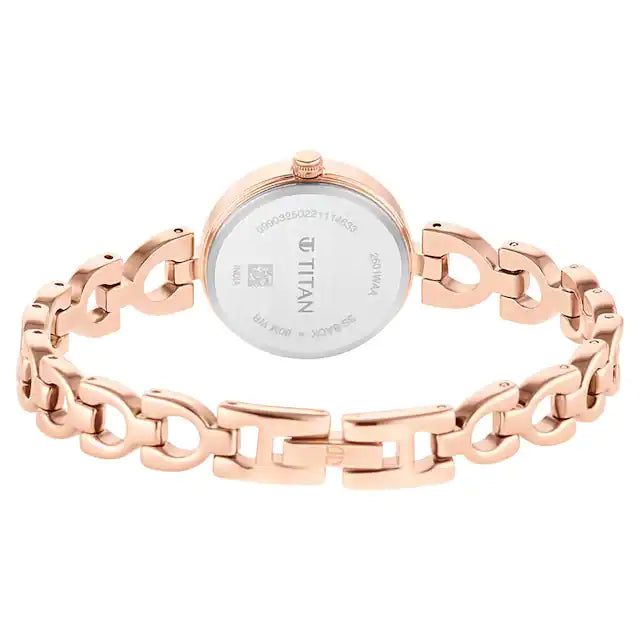 TITAN Lagan Brown Dial Metal Strap Watch NP2601WM04