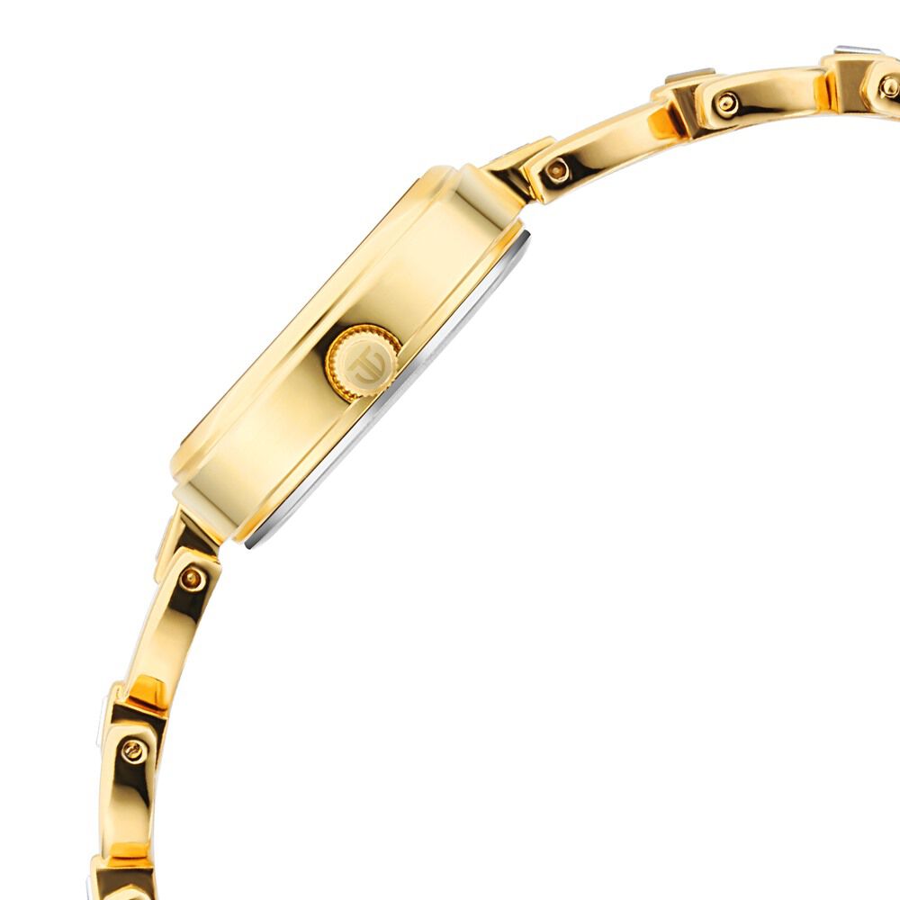 Titan Lagan Silver Dial Analog Metal Strap Watch for Women NS2601YM04