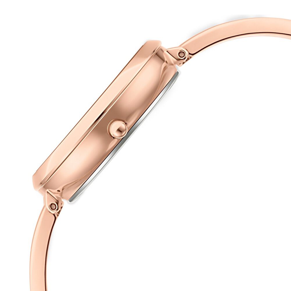 Titan Raga Viva Quartz Analog Rose Gold Dial Rose Gold Metal Strap Watch For Women - The Watch Factory ®