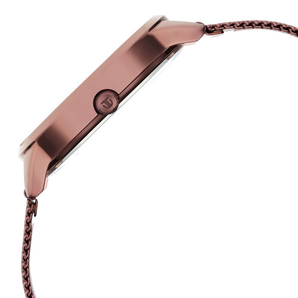 Titan Purple Glam It Up Quartz Analog Multicoloured Dial Brown Stainless Steel Strap Watch For Women - The Watch Factory ®