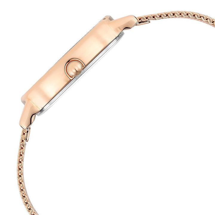 Titan Raga Viva Brown Dial Analog Stainless Steel Strap Watch for Women - The Watch Factory ®