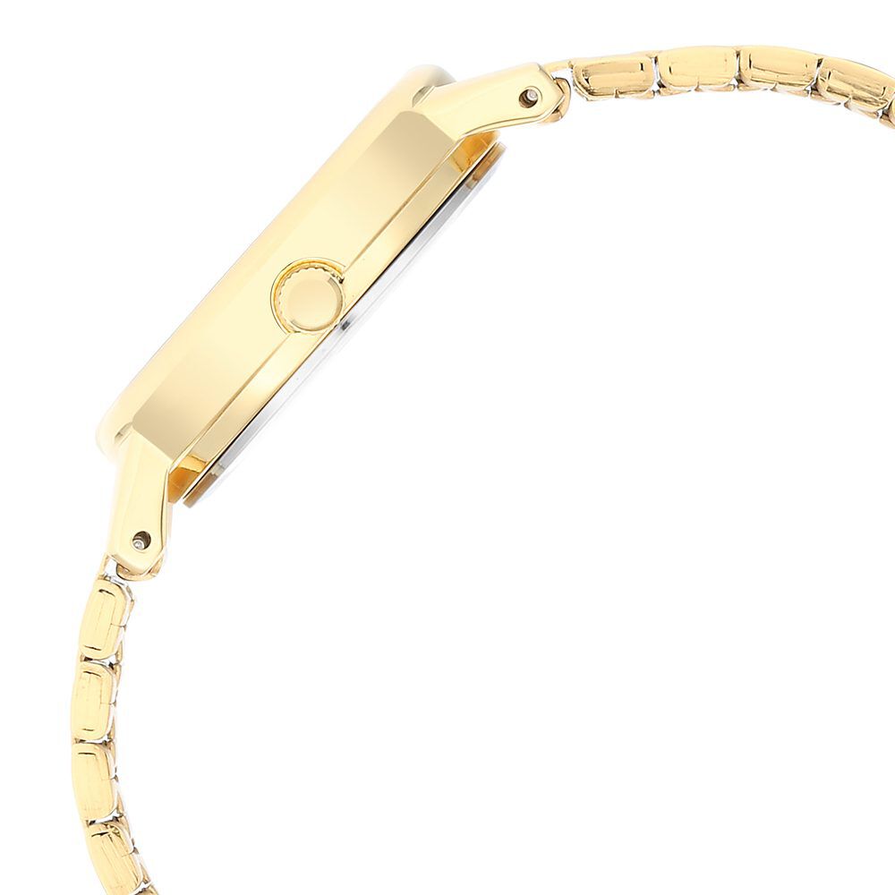 Titan Karishma Green Dial Analog Stainless Steel Strap watch for Women NS2678YM01