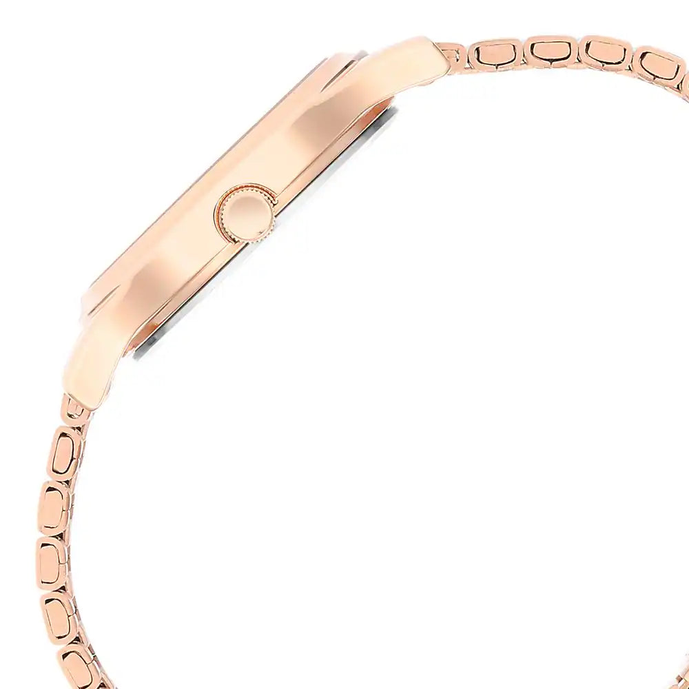 Titan Ladies Karishma Brown Dial Metal Strap Watch 2679WM01 / NS2679WM01