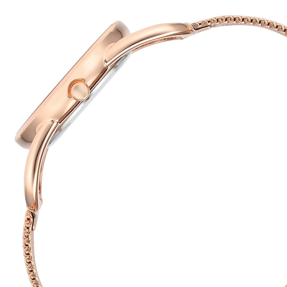 Titan Raga Chic Quartz Analog Pink Dial Metal Strap Watch for Women 2696WM01