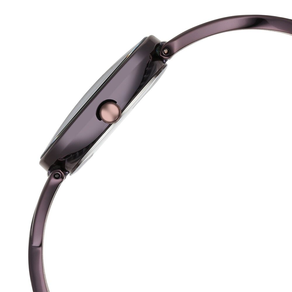 Titan Raga Chic Quartz Analog Brown Dial Metal Strap Watch for Women 2698QM01