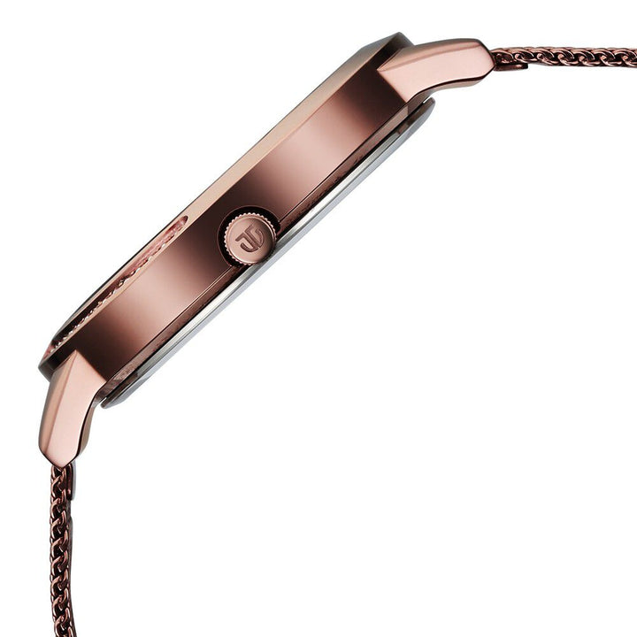 Titan Razzle Dazzle Quartz Analog Brown Dial Stainless Steel Mesh Strap Watch For Women 2764QM01