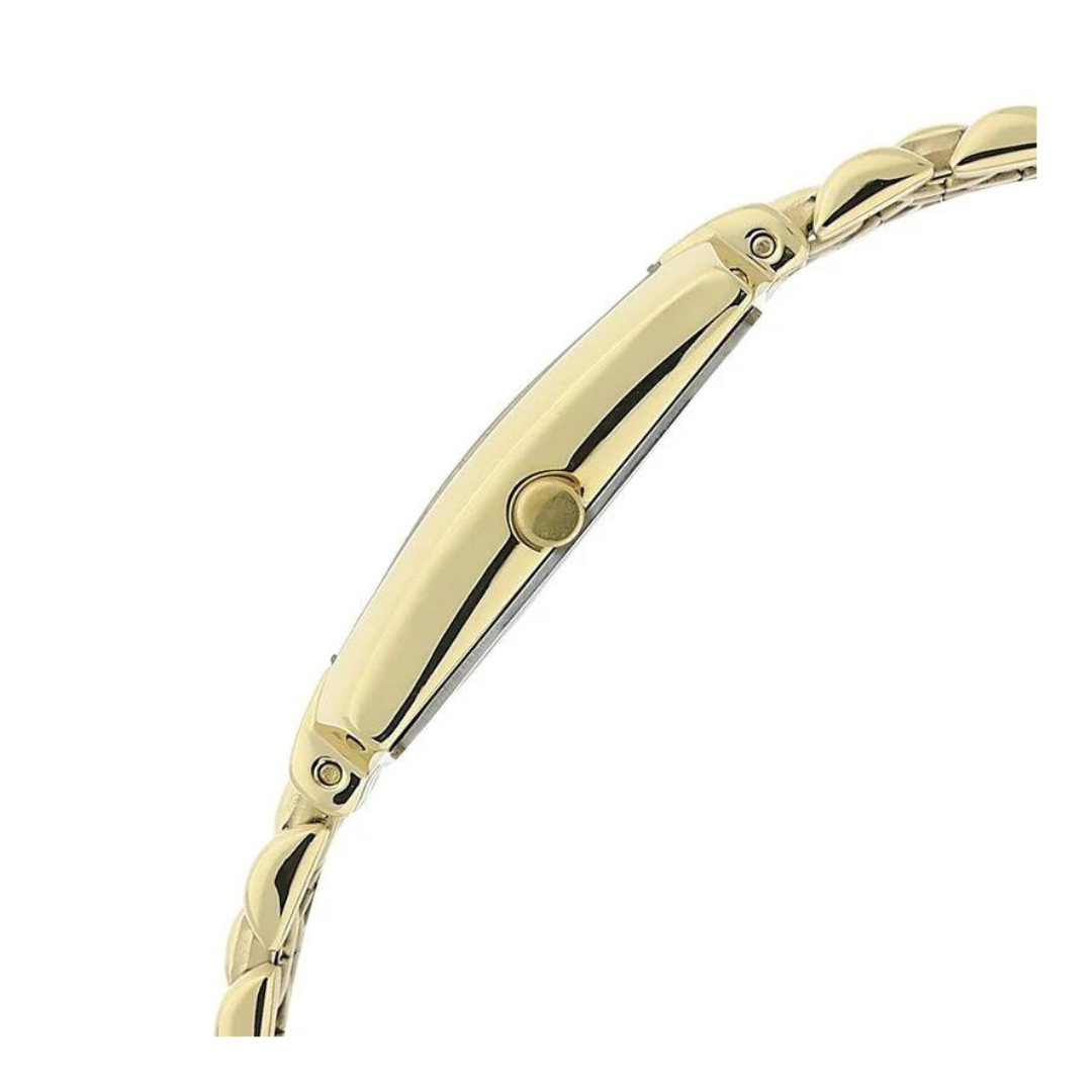 Titan Black Dial Golden Stainless Steel Strap Watch NN1927YM06