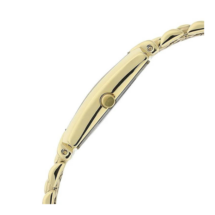 Titan Black Dial Golden Stainless Steel Strap Watch NN1927YM06