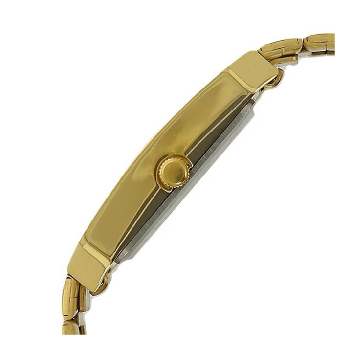 Titan Black Dial Golden Metal Strap Watch NP9151YM05