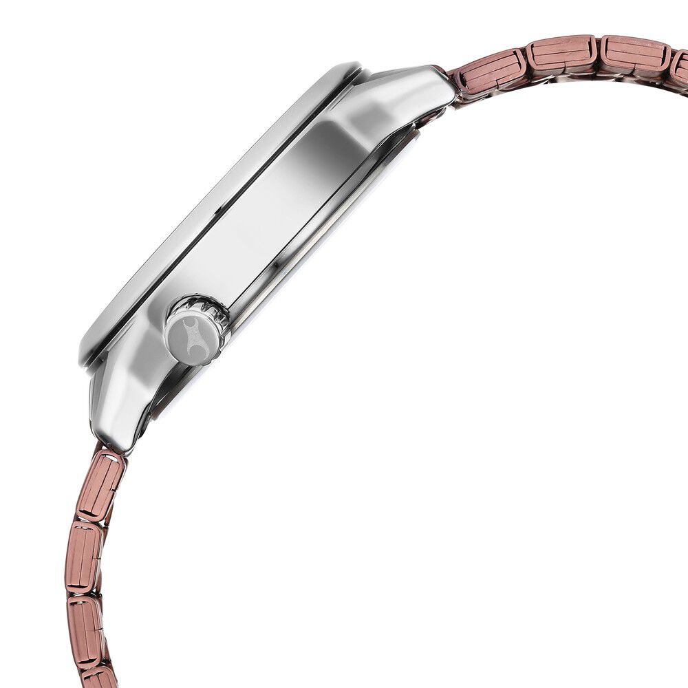 Fastrack Exuberant Quartz Multifunction Brown Dial Metal Strap Watch for Guys 3281KM03