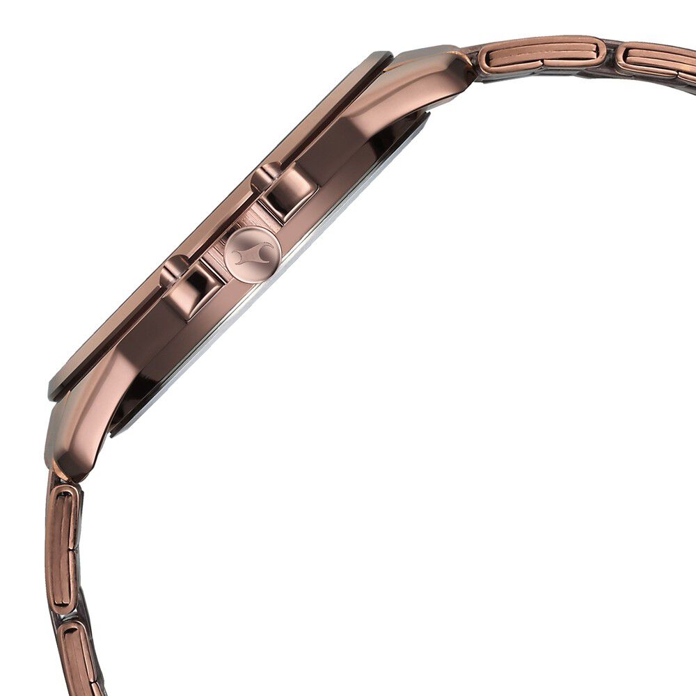 Fastrack Pulse Quartz Analog Brown Dial With Brown Stainless steel Strap Watch for Guys 3314QM02F