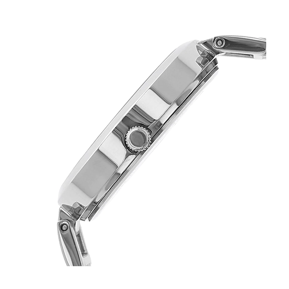 TITAN Black Dial Silver Women's Watch NP2480SM02