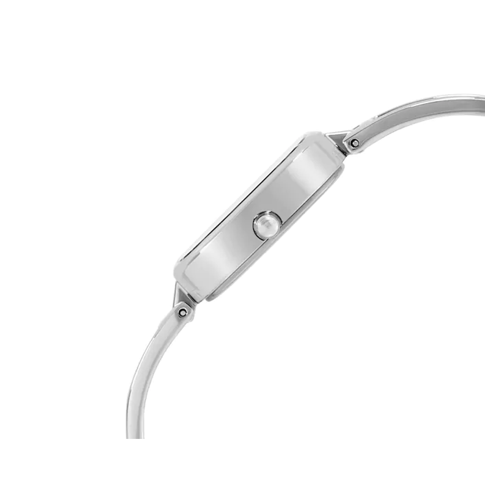 Titan Raga Viva Analog Silver Dial Women's Watch 2604SM01