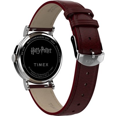 Timex TW2Y76200X6 Men&