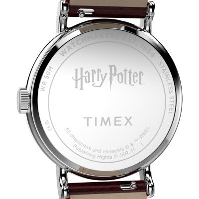 Timex TW2Y76200X6 Men&