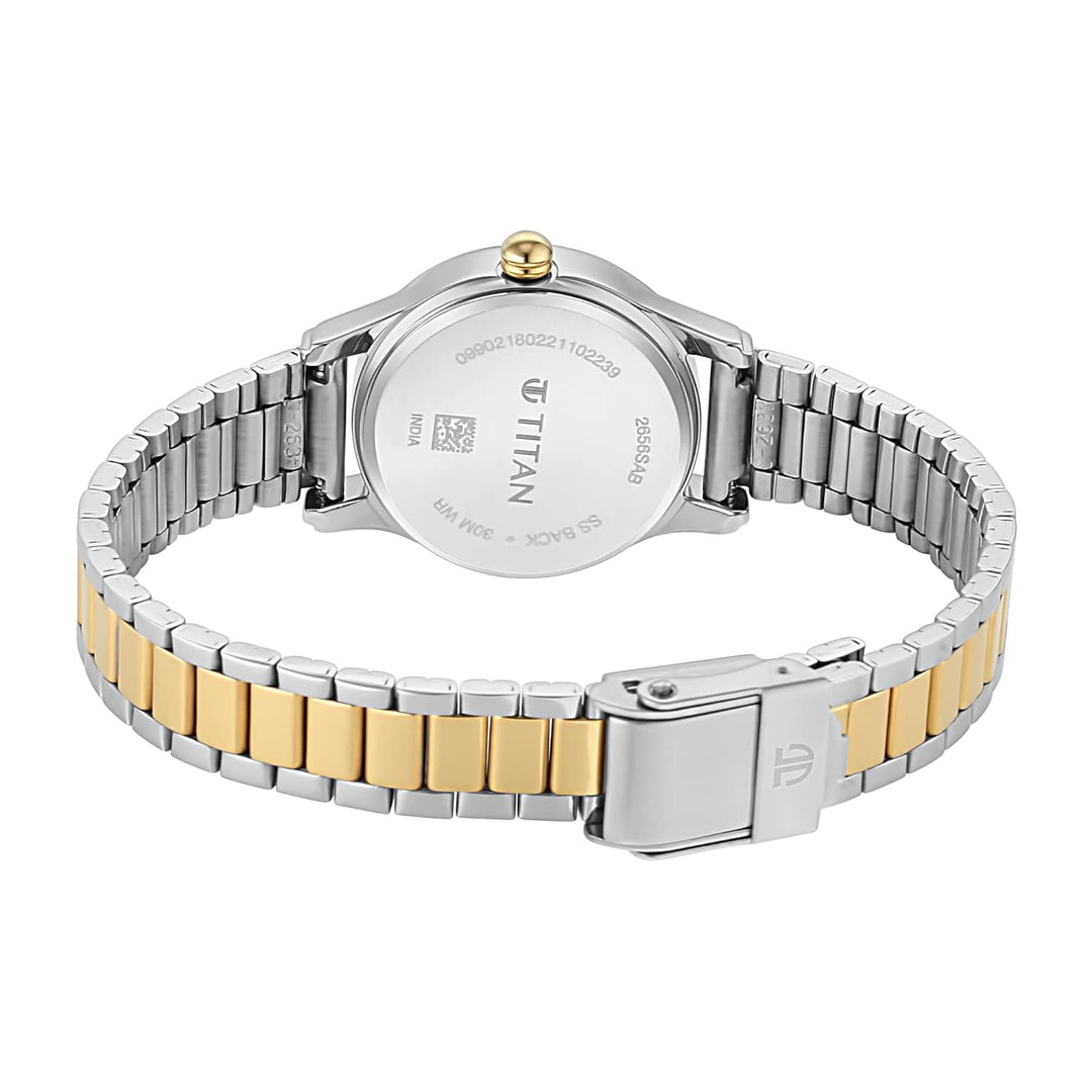 Titan Lagan Silver Dial Metal Strap Watch NP2656BM01