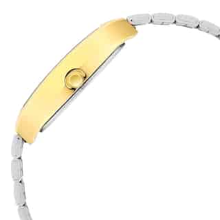 Titan Karishma Anthracite Dial Brass Strap Watch 9315BM03 / NR9315BM03