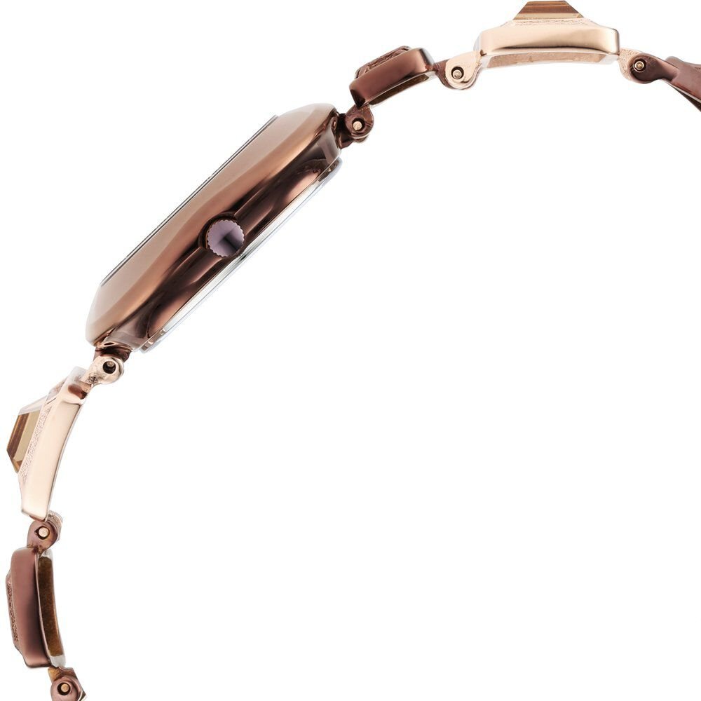 Titan Raga Love All Brown Dial Analog Metal Strap watch for WoMen - The Watch Factory ®