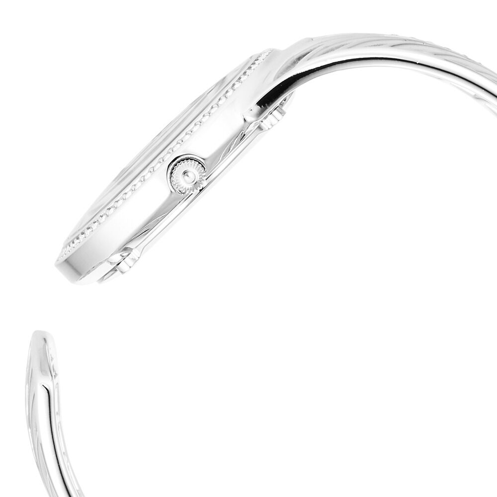 Titan Raga Silver Quartz Analog Blue Dial With Sterling Silver Metal Strap And Case Watch For Women (Large) 95221VM01