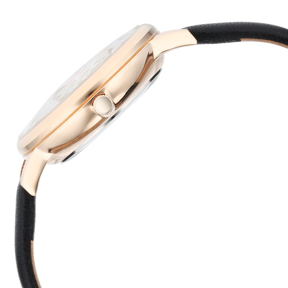 Titan Raga Showstopper Quartz Analog Mother Of Pearl Dial Leather Strap Watch for Women 95274WL01